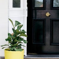 Ray White Launceston